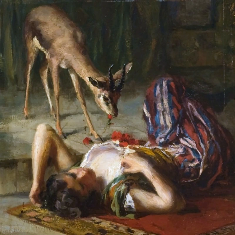 Il cervo